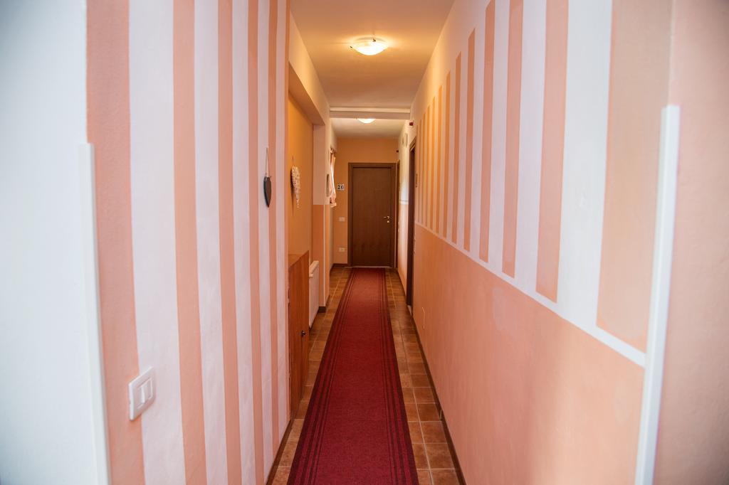 Madonna Della Neve Hotel Pettenasco Eksteriør billede
